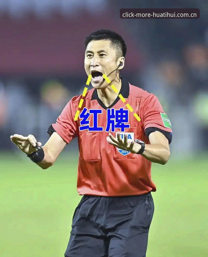 资深球迷实战经验：从马宁的执裁哲学看体育平台的深度价值